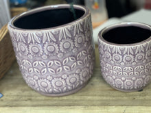 Purple daisy pots