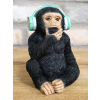 Monkey with headphones