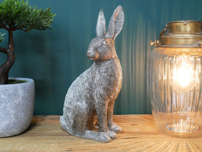 Large Silver hare