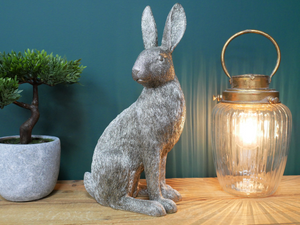 Large Silver hare