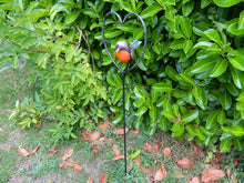 Garden Robin stake