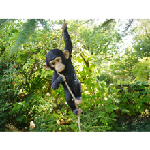 Swinging monkey