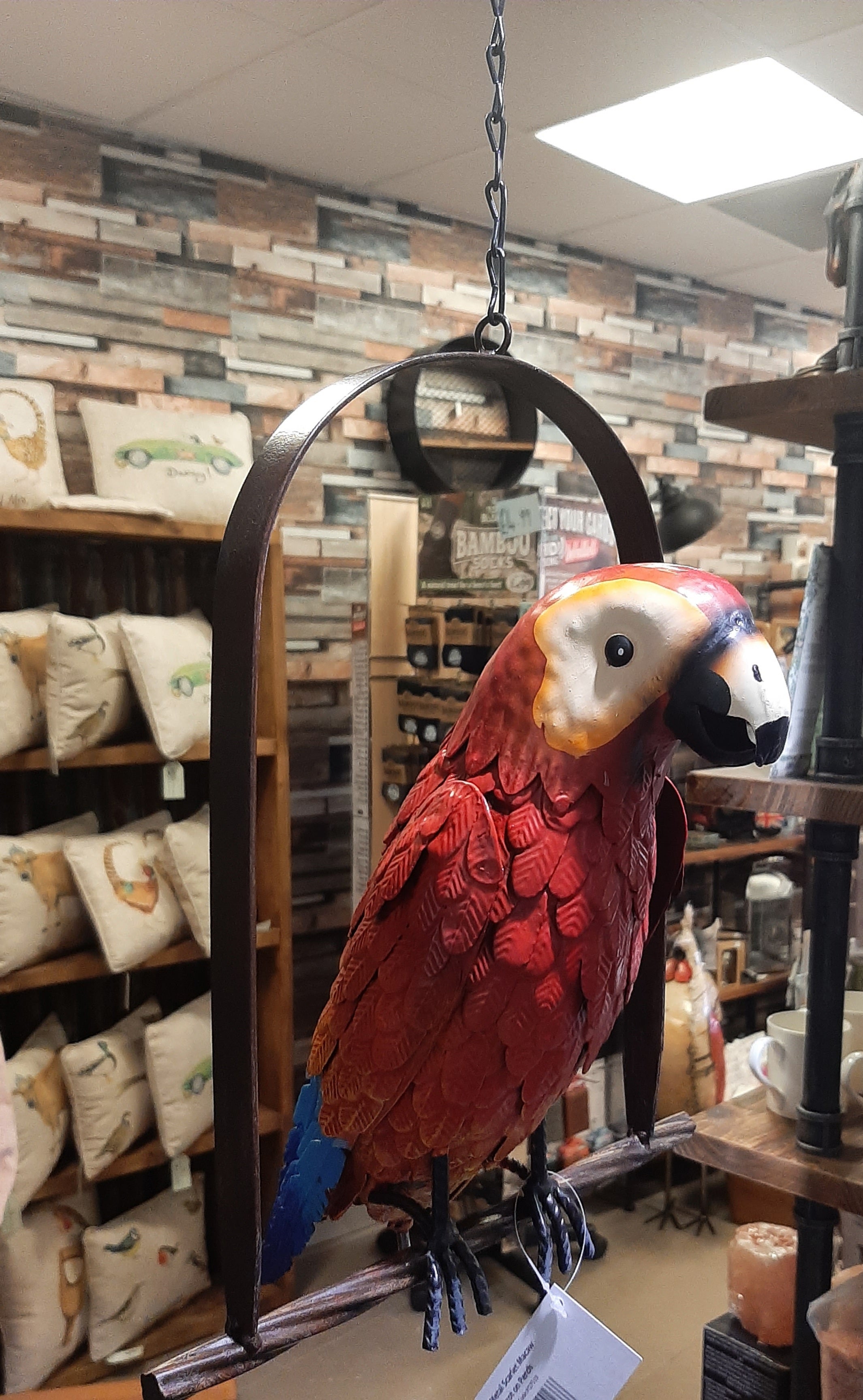 Macaw parrot shop best sale